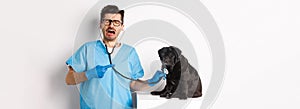 Sad male vet doctor examining cute little dog pug with stethoscope, pointing at pet and crying, standing over white