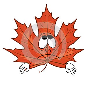 Sad mapple leaf cartoon