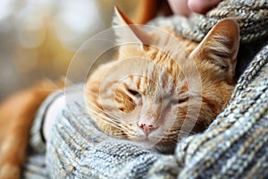 Sad Person Hugs Cat, Cats Comfort a Person, Caresses, Expresses Sympathy Sharing Feelings Illustration