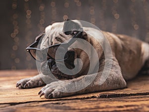 Sad pug dog wearing sunglasses lying down