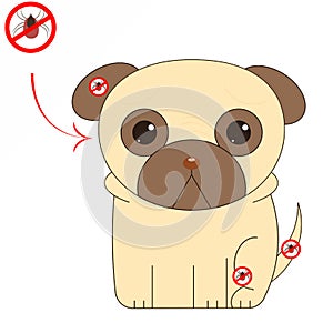 Sad pug . Vector illustration of a tick sitting on a dog against the background of the spread of bacteria.