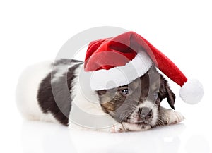 Sad puppy with santa hat. isolated on white background