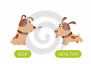 Sad puppy sitting with thermometer and playful puppy running flat illustration with typography.