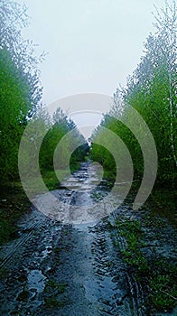 A sad rainy landscape