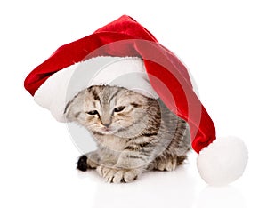 Sad scottish kitten with red santa hat. isolated on white