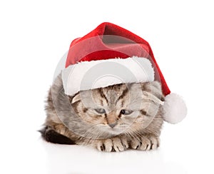 Sad scottish kitten with red santa hat. on white