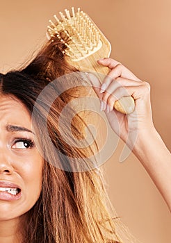 Sad woman, messy hair and brush for knots, tangle or haircare treatment against a studio background. Frustrated female