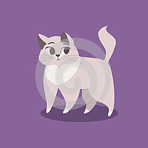 Sad, worried and cute violet kitten. Vector illustration.