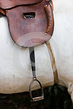 Saddle