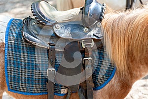 Saddle  on a back of a horse