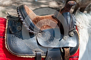 Saddle  on a back of a horse