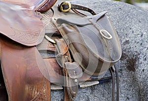 Saddle Bag on Horse photo