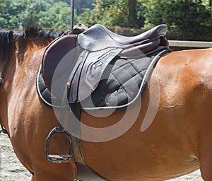 Saddle on a bay horse