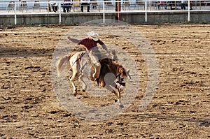 Saddle Bronc