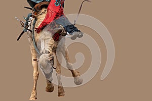 Saddle Bronc Riding At An Australian Country Rodeo with background removed and copy space