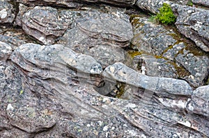 Saddle - Grampians