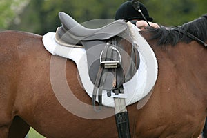 Saddle on Horse