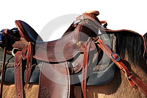 Saddle on Horse