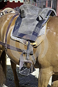 Saddle on Horse