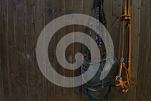 Saddle horse reins on Brown wooden wall