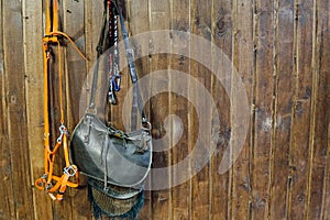 Saddle horse reins on Brown wooden wall