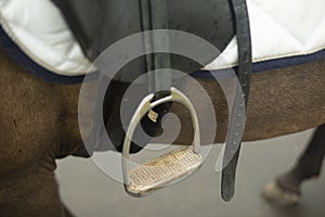 Saddle on horseback. Horse in detail. Steel foot stirrups