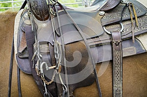 Saddle for horses, detail. Color image