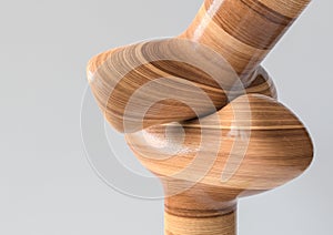 Saddle Joint - Joint types of bones in wood look - 3D Rendering