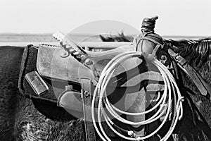 Saddle and Lariat photo