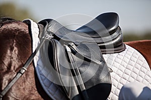 A saddle saddled on the back of a sport horse