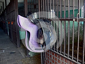 Saddle in stable