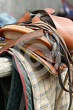 Saddle Up / Horse Equipment