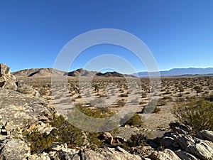 Saddleback Mountain Park, Lancaster, California