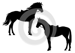 Saddled horse ready for ride black and white vector silhouette set