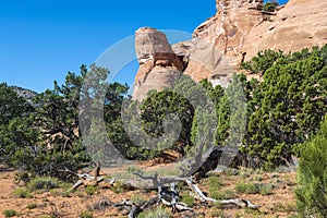 Saddlehorn Formation in the Colorado National Monument