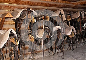 Saddles and Bridles