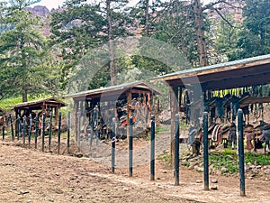 Saddles, leathers, reins & blankets are stored in open sheds on a ranch so that they are ready for the next horse trail ride.