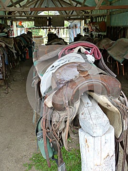 Saddles waiting for their horse