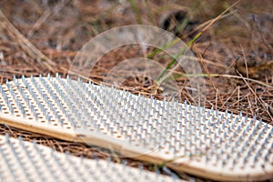 Sadhu board The practice of standing on nails