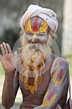 Sadhu Holy Man