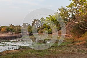 Safai in the Yala Nationalpark