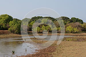 Safai in the Yala Nationalpark