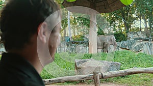 Safari Adventure. Man encounters wild elephant in Asian zoo.