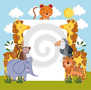 safari animals with placard