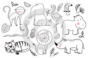 Safari animals vector set