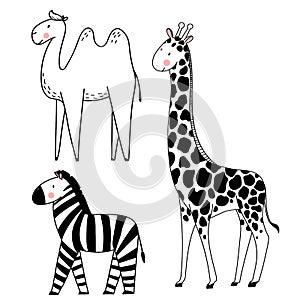 Safari animals vector set