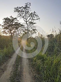 On a safari in Chitwan NP