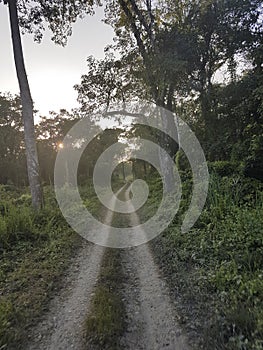 On a safari in Chitwan NP