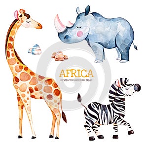 Safari collection with giraffe, rhino, zebra, stones