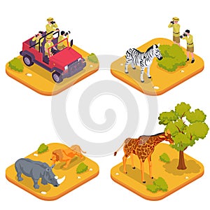 Safari Colored Isometric Icon Set